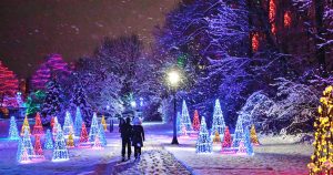 Winter Festival of Lights Displays